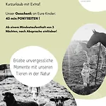 Lion * Neustadt-Glewe